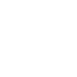 shield 1
